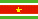 Suriname Embassy Documents Legalization Services in New Delhi
